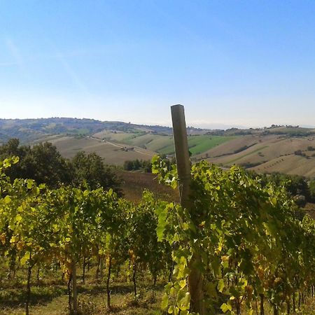 פרמו Agriturismo Le Vigne מראה חיצוני תמונה
