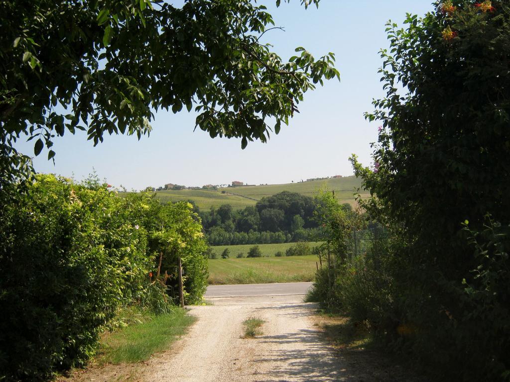 פרמו Agriturismo Le Vigne מראה חיצוני תמונה